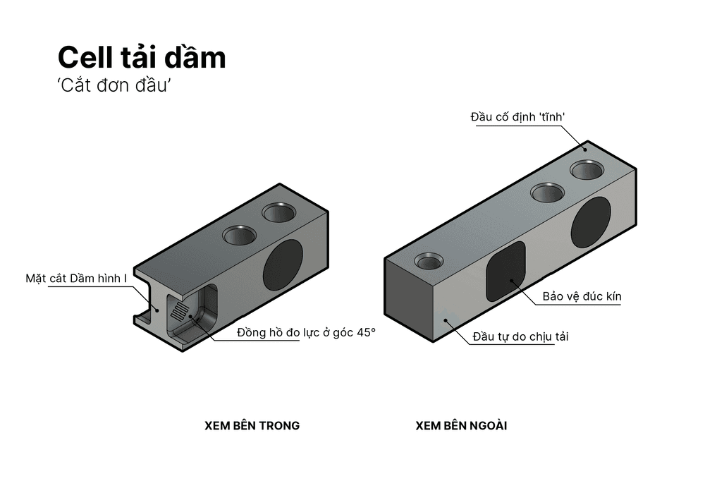 Cảm ứng lực dạng thanh là gì?