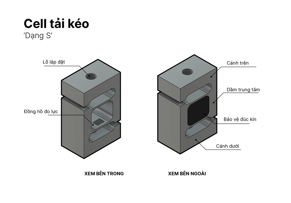Cảm ứng lực dạng căng là gì?
