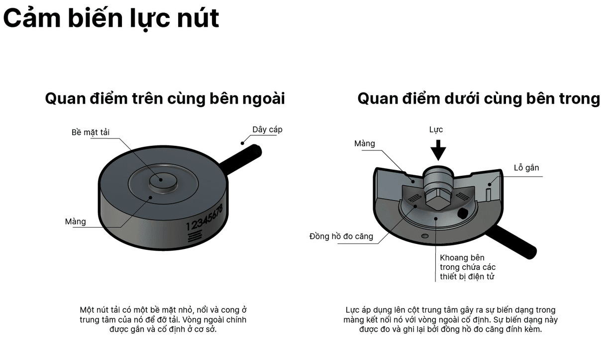 Cảm biến lực là gì?