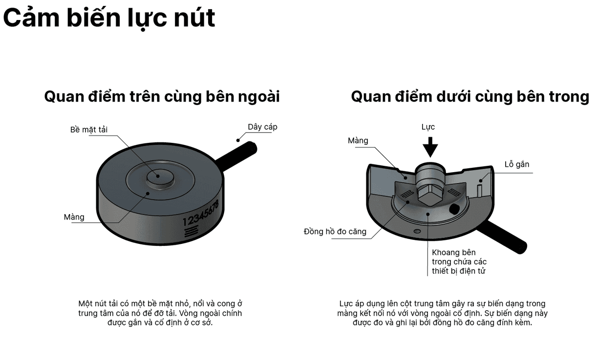 Cảm biến lực là gì?