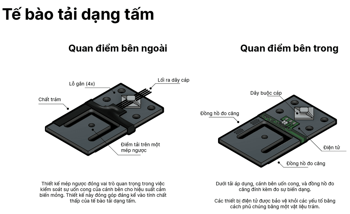 Cảm biến tải trọng chùm phẳng là gì?