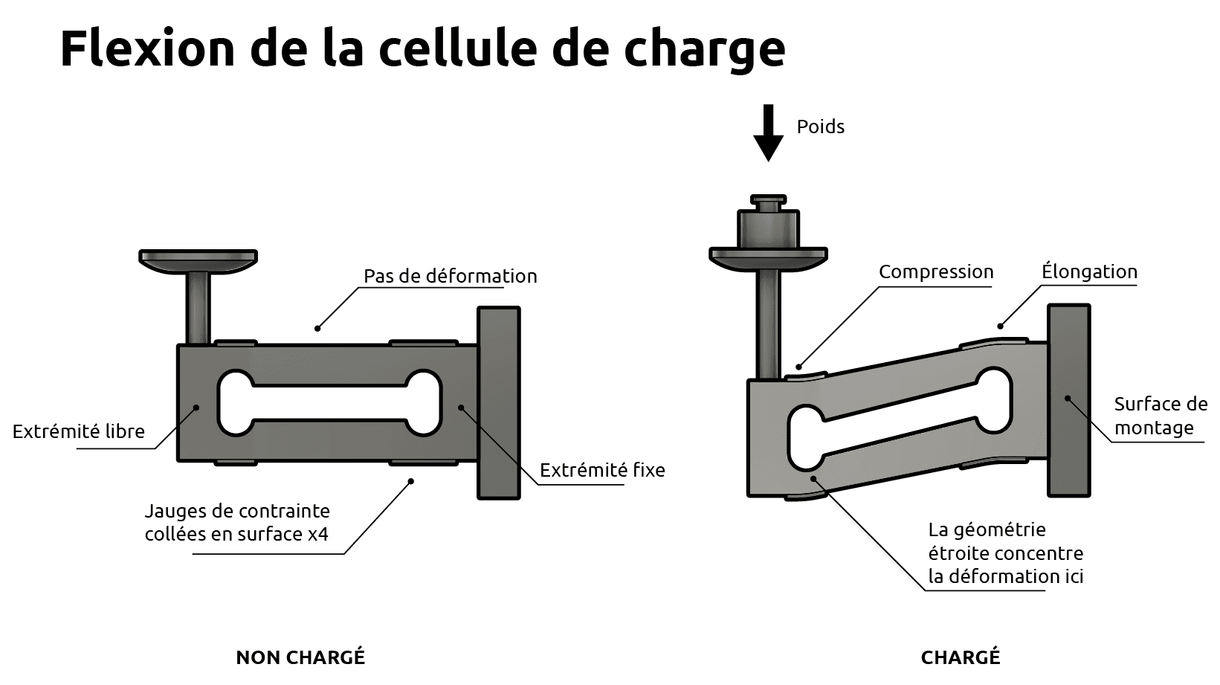 Flexion de la cellule de charge