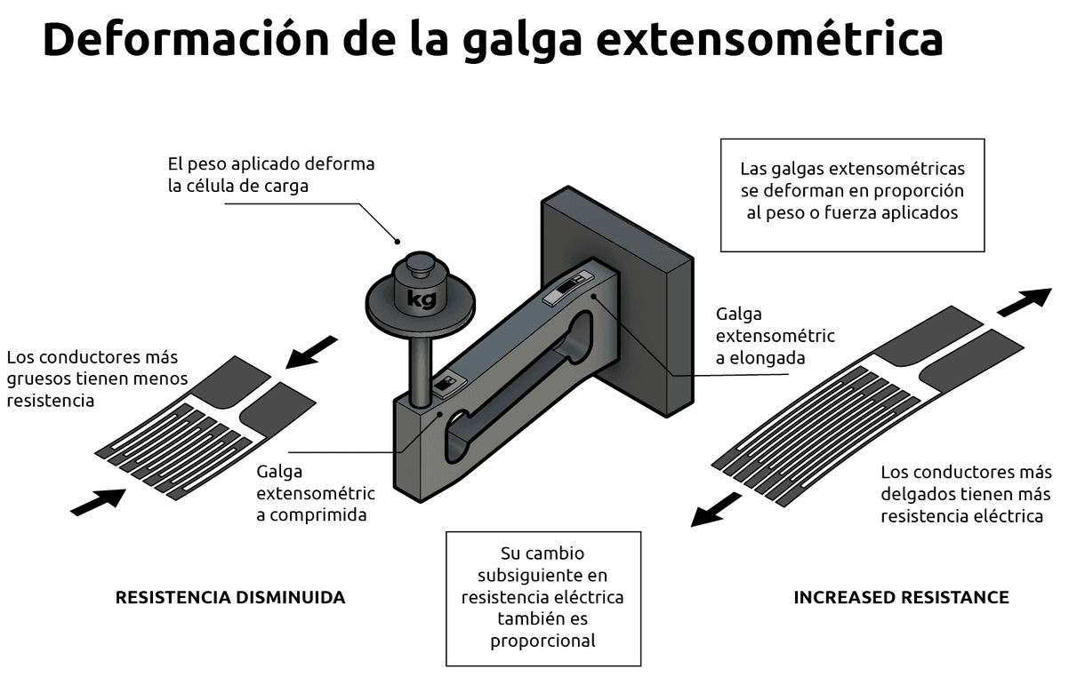 Deformación de la galga extensométrica
